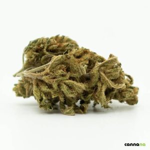 Cocaina