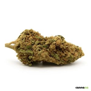 420 shop