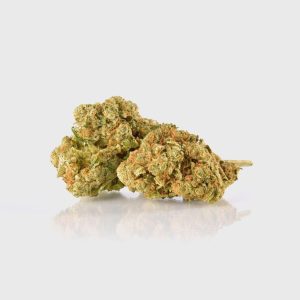 🔥 Amnezie cu 40% mai mare