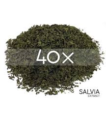 Extract de salvia 40X