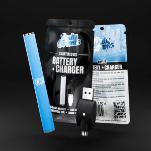 Cartuș de transport baterie + adaptor de încărcare