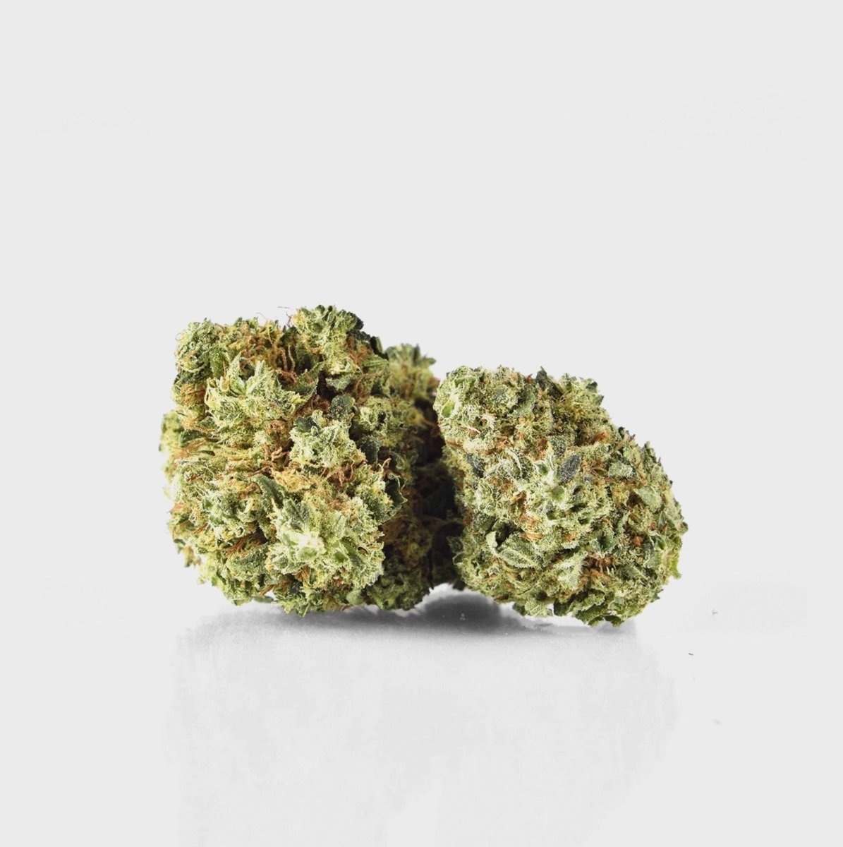 🍍 Pina Paff 20% CBD de la Plusmacher