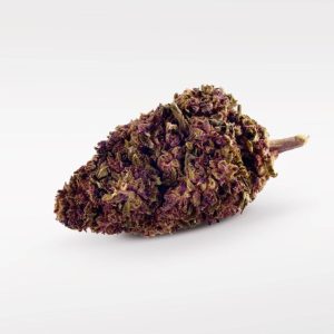 Purple Kinky Kush - Înflorire superioară 40%