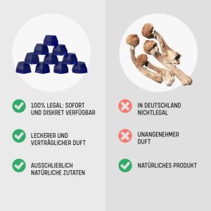 🍄 Gummii cu ciuperci magice Tryp