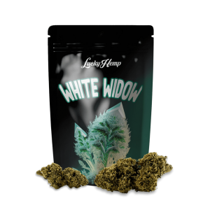 Pachet limitat de 3,5 g White Widow